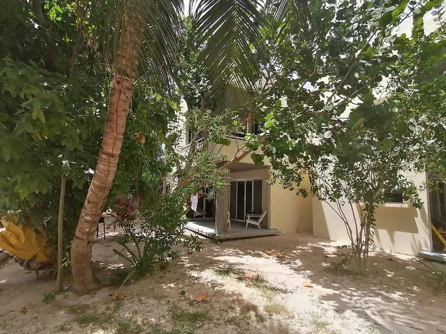 Appartamento Marysol Great Views Beachfront Next To Nomads D3 Isla Mujeres