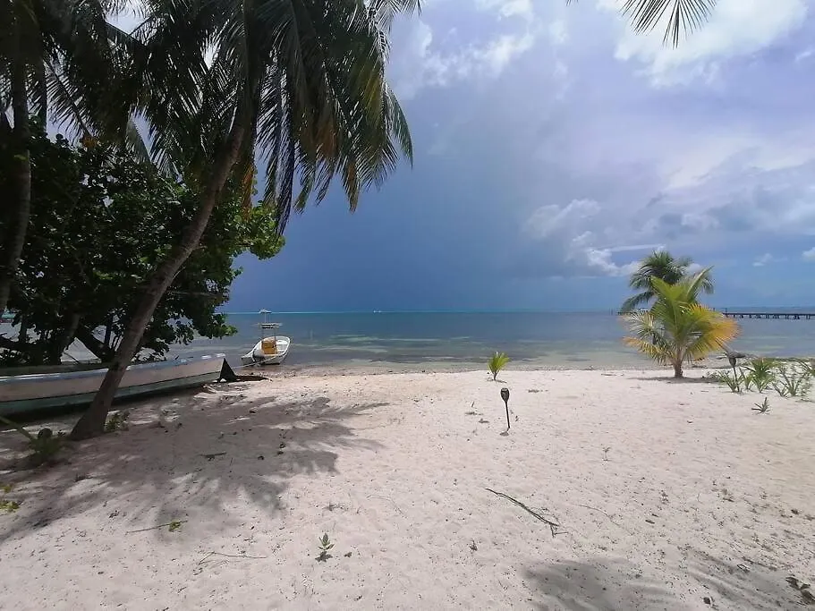 Appartamento Marysol Great Views Beachfront Next To Nomads D3 Isla Mujeres Messico