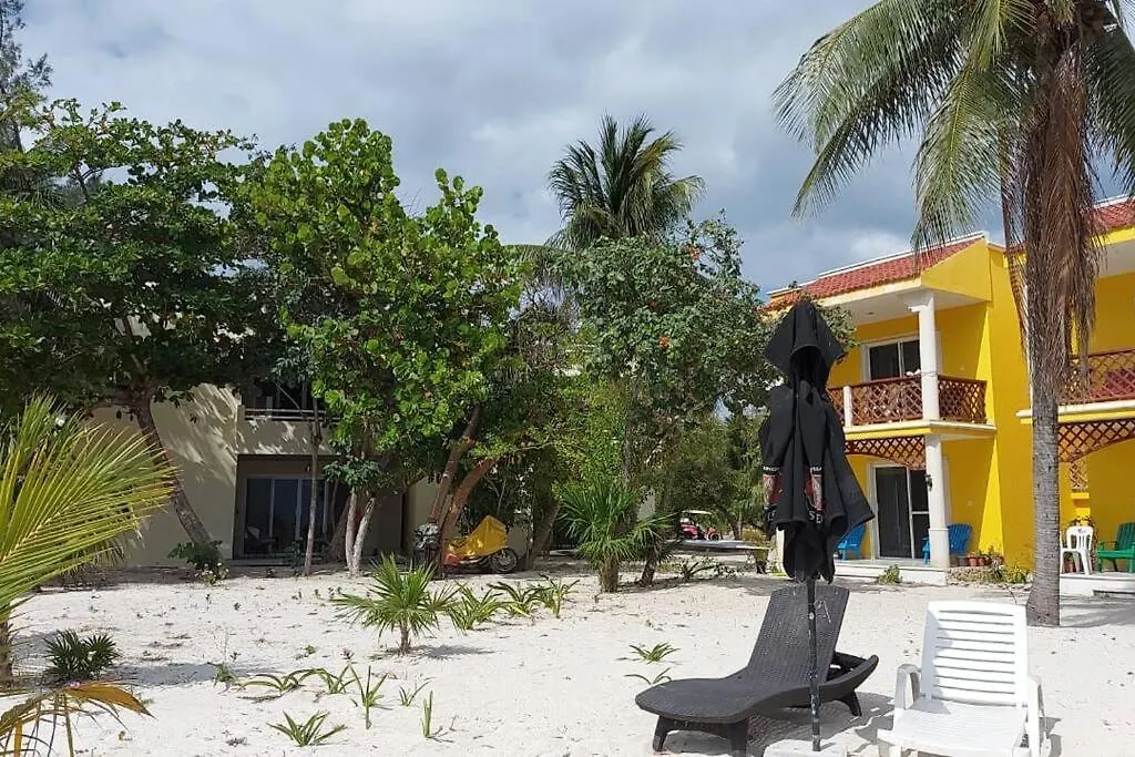 Marysol Great Views Beachfront Next To Nomads D3 Isla Mujeres Appartamento