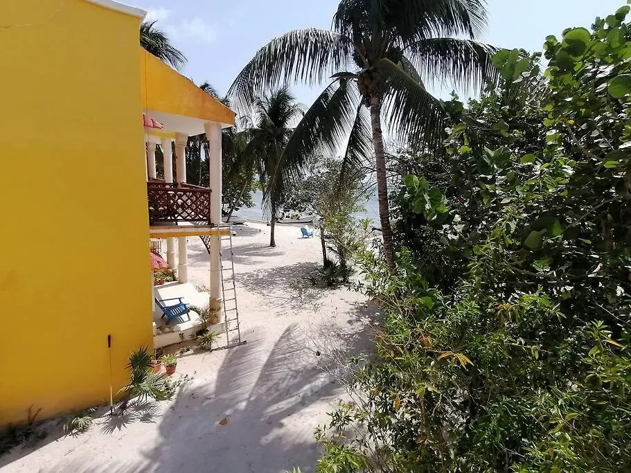 Marysol Great Views Beachfront Next To Nomads D3 Isla Mujeres 0*,  Mexico