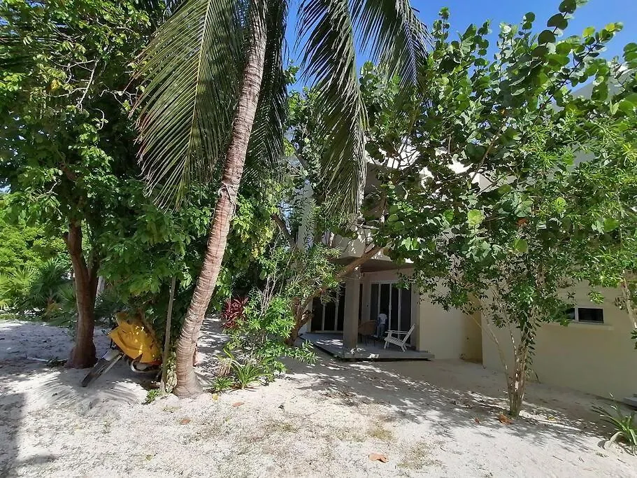 Marysol Great Views Beachfront Next To Nomads D3 Isla Mujeres Lejlighed